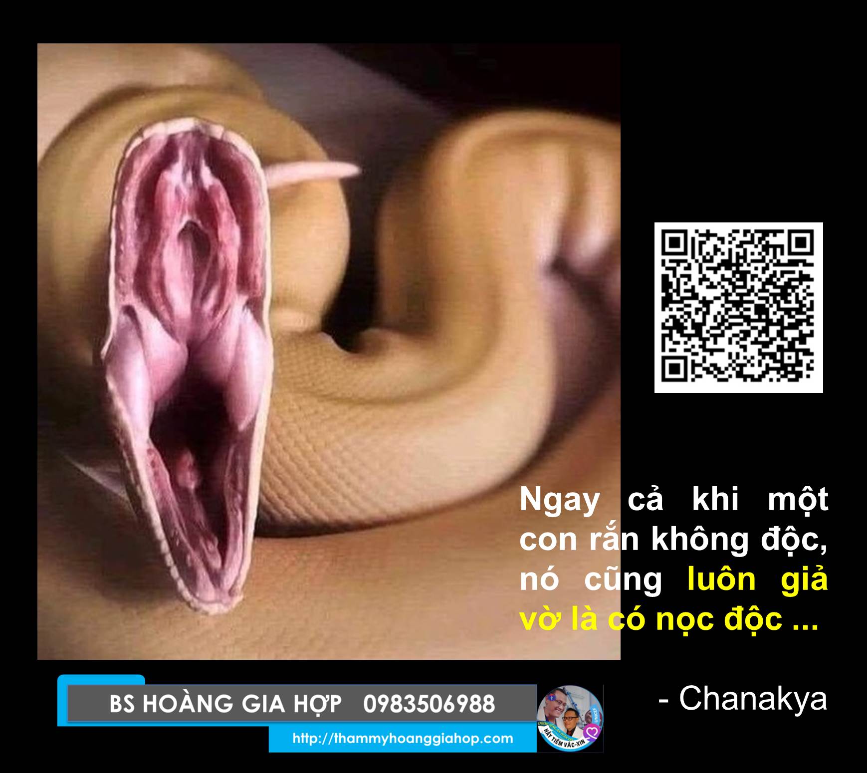 THẤY VẬY MÀ KHÔNG PHẢI VẬY ...!!!