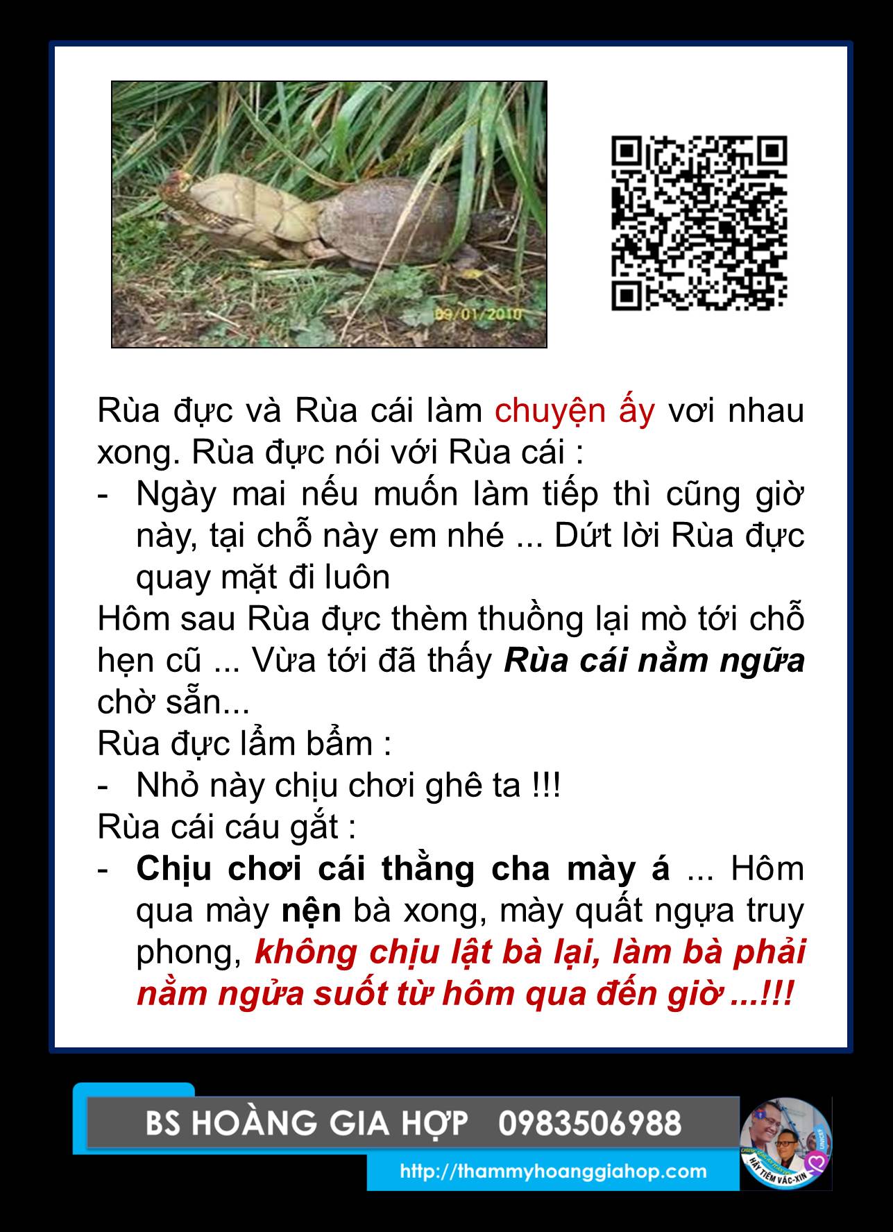 CHUYỆN CỦA RÙA ...