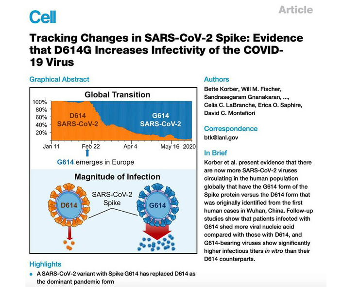 Chủng virus mới tại Việt Nam có thể là chủng D614G - hiện đang hoành hành ở châu Âu và Mỹ …