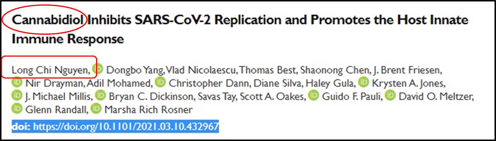 CANNABIDIOL ỨC CHẾ SỰ SAO CHÉP CỦA SARS-COV-2 VÀ THÚC ĐẨY VẬT CHỦ ĐÁP ỨNG MIỄN DỊCH BẨM SINH ...