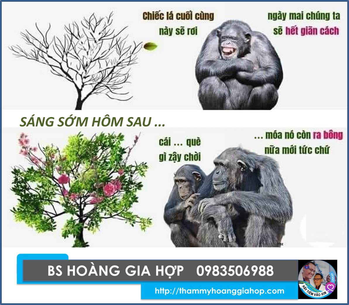 HÌNH VUI CHỜ HẾT GIÃN CÁCH XÃ HỘI