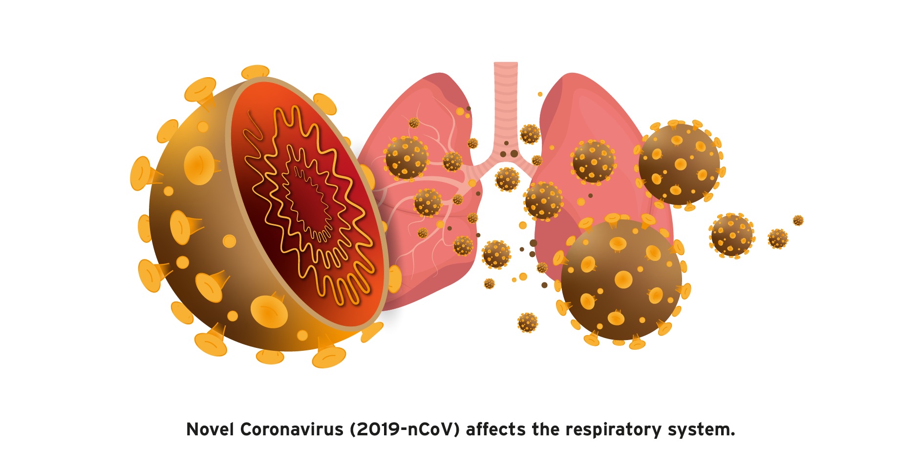 Phim về CORONAVIRUS ... phụ đề tiếng Việt rất hay ...